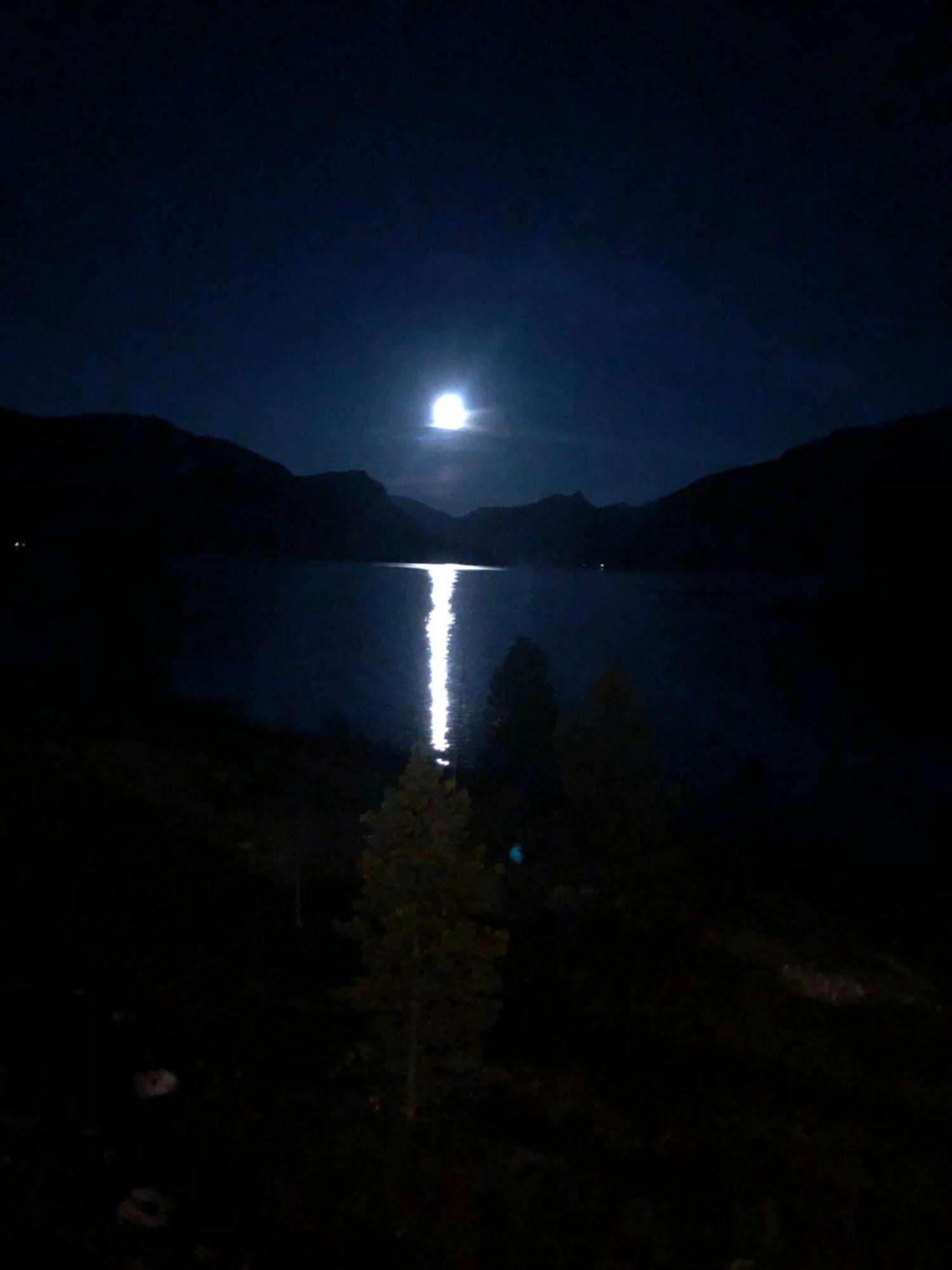 Efjord And Stetind Resort - Cabin Kobbernestinden Ballangen Eksteriør bilde
