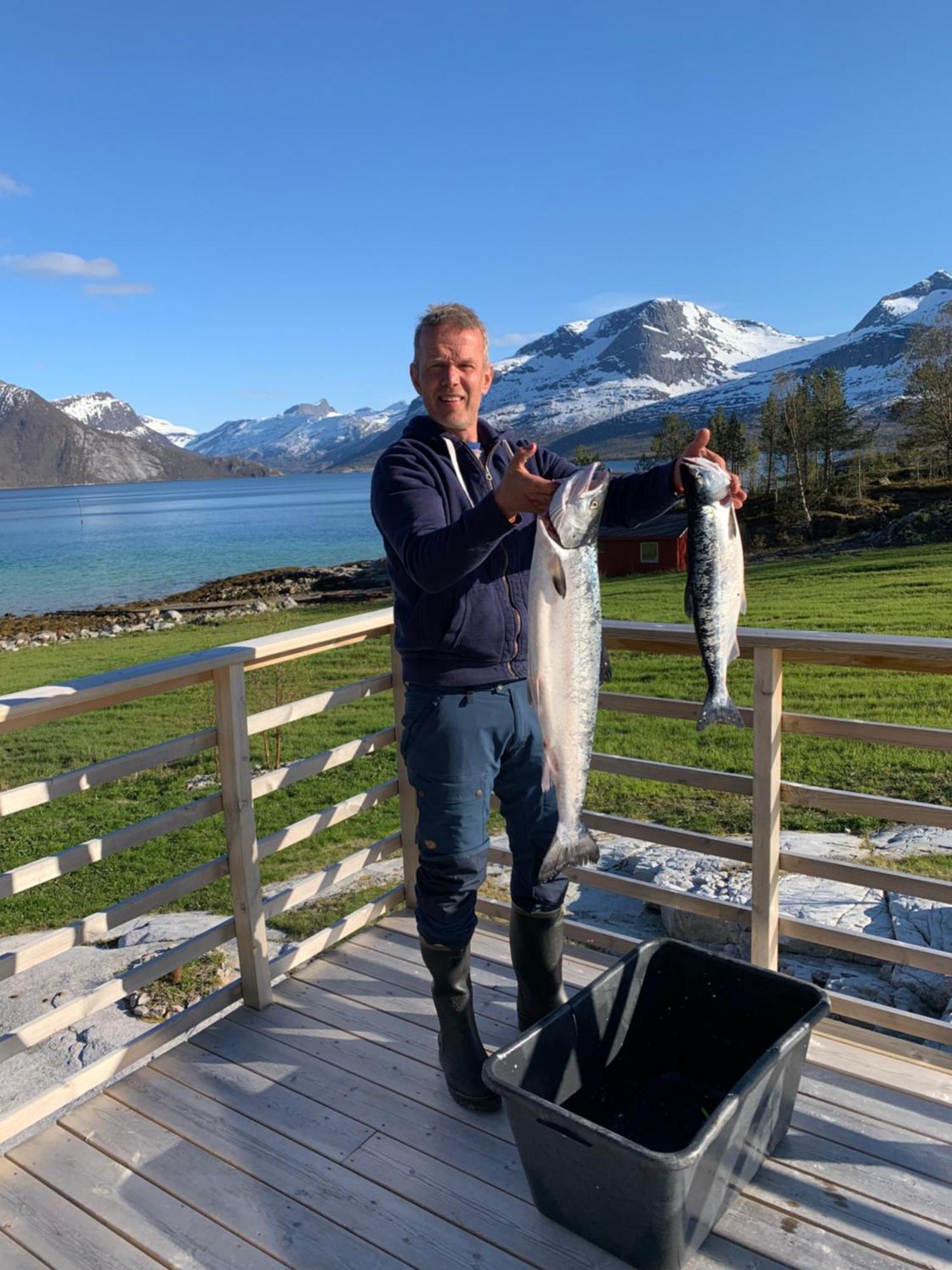 Efjord And Stetind Resort - Cabin Kobbernestinden Ballangen Eksteriør bilde